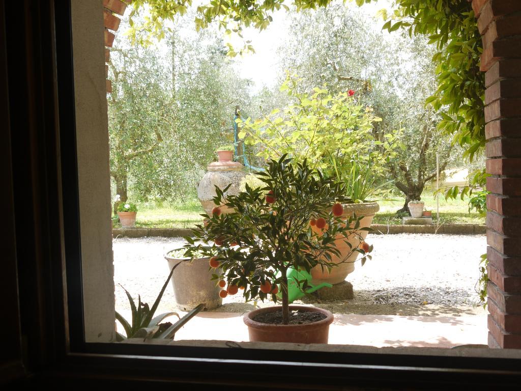 Azienda Agricola Polveraia San Gimignano Exterior photo