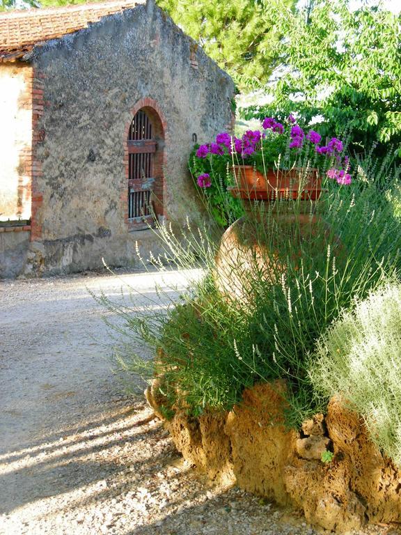 Azienda Agricola Polveraia San Gimignano Exterior photo